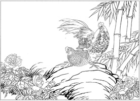 锦鸡线描 锦鸡白描 锦鸡素描