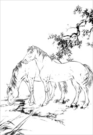 骏马线描 骏马白描 骏马素描