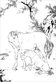 骏马线描 骏马白描 骏马素描