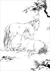 骏马线描 骏马白描 骏马素描