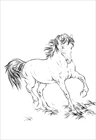 骏马线描 骏马白描 骏马素描