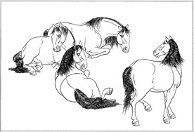 骏马线描 骏马白描 骏马素描
