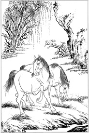 骏马线描 骏马白描 骏马素描