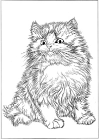 猫咪线描 猫咪白描 猫咪素描