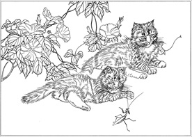 猫咪线描 猫咪白描 猫咪素描