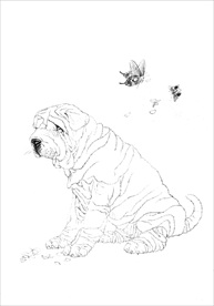 名犬线描 名犬白描 名犬素描