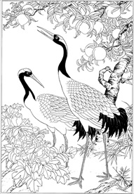 仙鹤线描 仙鹤白描 仙鹤素描