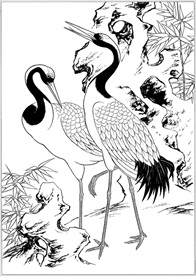 仙鹤线描 仙鹤白描 仙鹤素描