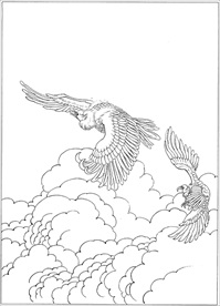 雄鹰线描 雄鹰白描 雄鹰素描