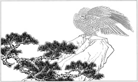 雄鹰线描 雄鹰白描 雄鹰素描