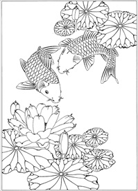 连年有余 鲤鱼线描 金鱼线描