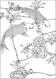 连年有余 鲤鱼线描 金鱼线描