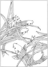 连年有余 鲤鱼线描 金鱼线描