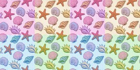 海底生物 贝壳海星海马