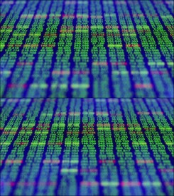 金融数据数字化市场