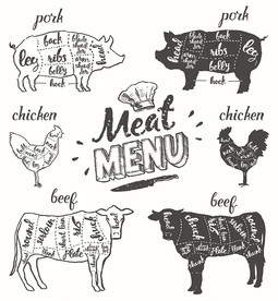 肉食菜单矢量设计素材