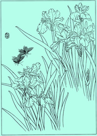 鸢尾兰线描 鸢尾兰白描 鸢尾兰