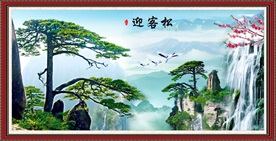 迎客松