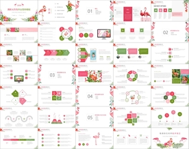 清新火烈鸟毕业答辩PPT