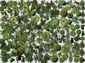 园林树木植被素材