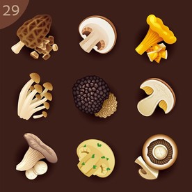 菌类美食矢量素材