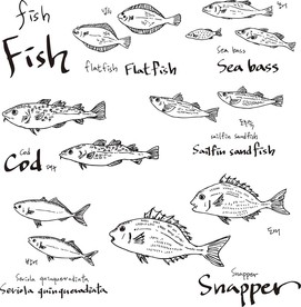 鱼类手绘素描素材