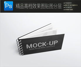 通用高档画册封面一键贴图