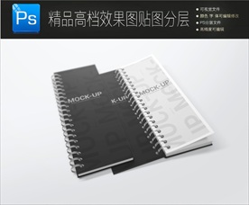 高档通用二折页样机效果图