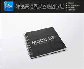 特殊烫银工艺书籍杂志样机图片