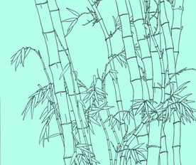竹子线描 竹子白描 竹子素描