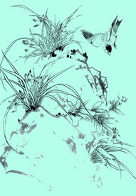 兰花线描 兰花白描 兰花素描