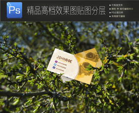 真实逼真场景名片样机