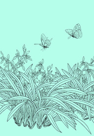 兰花线描 兰花白描 兰花素描