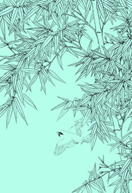 竹子线描 竹子白描 竹子素描