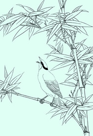 竹子线描 竹子白描 竹子素描