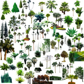 建筑后期绿化素材