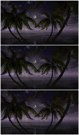 三维大海夜景星空树木背景素材