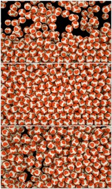 4K卡通心形图案小球转场