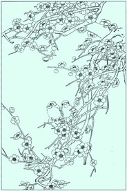 梅花线描 梅花白描 梅花素描