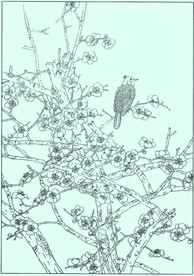 梅花线描 梅花白描 梅花素描