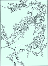 梅花线描 梅花白描 梅花素描