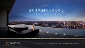 豪宅 地产 广告