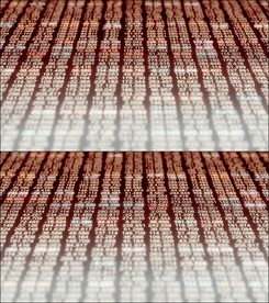 证券股票市场数据动态视频