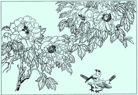 牡丹花线描 牡丹花白描 牡丹花