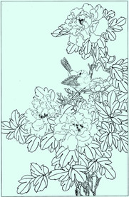 牡丹花线描 牡丹花白描 牡丹花