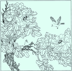 牡丹花线描 牡丹花白描 牡丹花