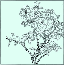 牡丹花线描 牡丹花白描 牡丹花