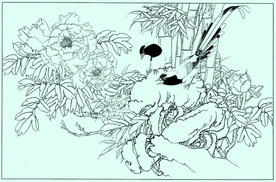 牡丹花线描 牡丹花白描 牡丹花