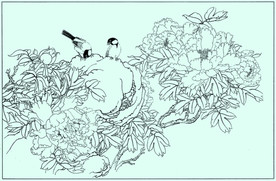 牡丹花线描 牡丹花白描 牡丹花