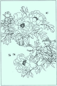 牡丹花线描 牡丹花白描 牡丹花